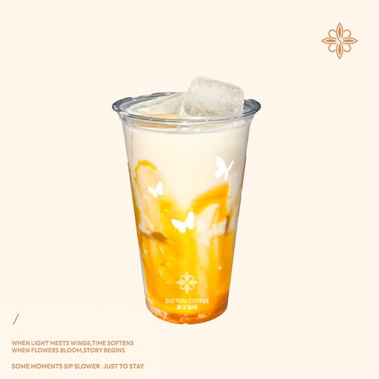 Persimmon Coconut Milk 柿子生椰